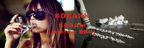 шишки Балабаново