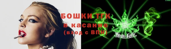 шишки Балабаново