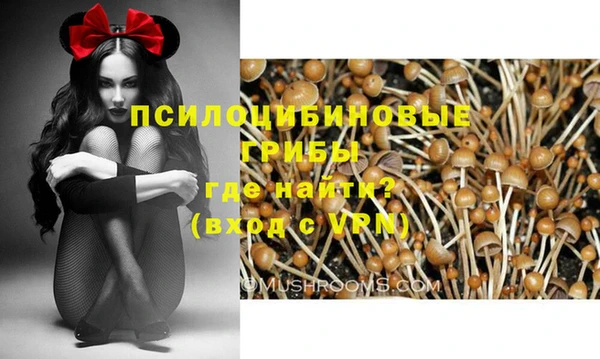 шишки Балабаново