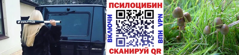 Галлюциногенные грибы мухоморы  omg зеркало  Михайлов  где найти наркотики 